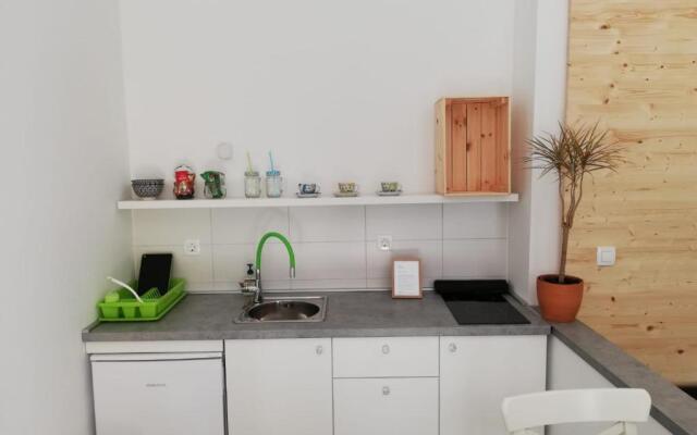 Studio apartman Fleiss