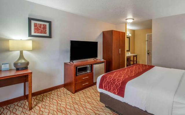 Comfort Inn Mount Shasta Area