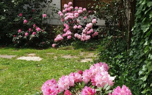 Lovely 3-bed Villa in Capranica