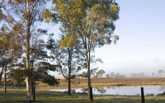 Talga Vines Vineyard Escape