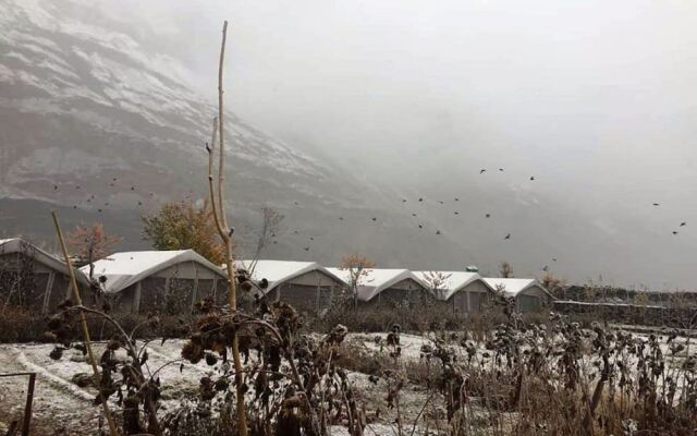 TIH Buckwheat Root Camp - Turtuk