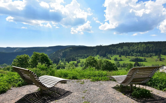 Schwarzwaldhaus Krebs - Villa Kunterbunt, Lenzkirch, Feldberg