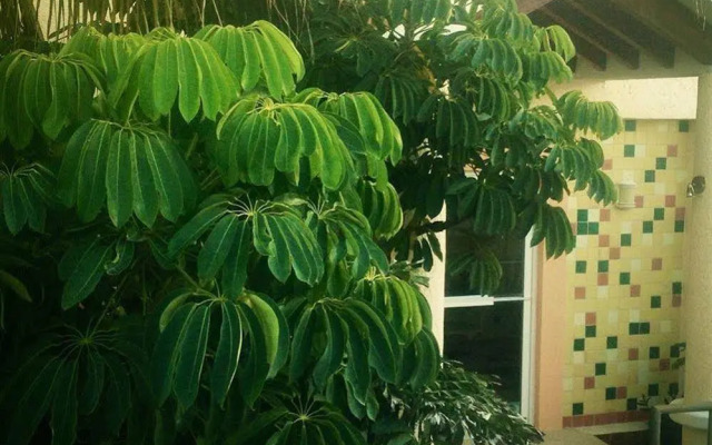 Marisol Boutique Hotel