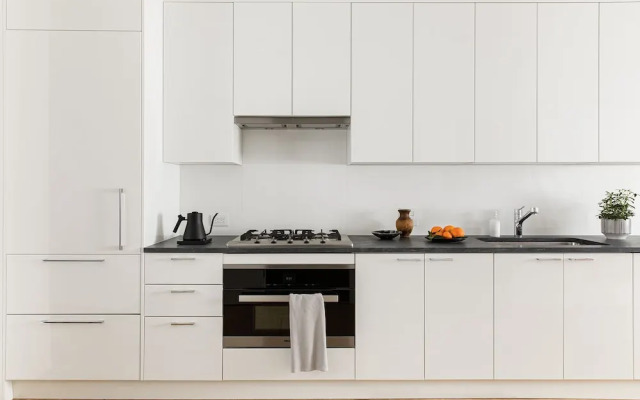 BLACK SWAN - Liz DC - Executive Flat