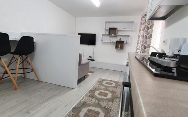 Nehoiu apartament