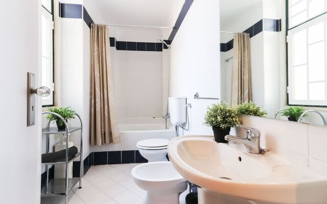 Rato Elegant By Homing