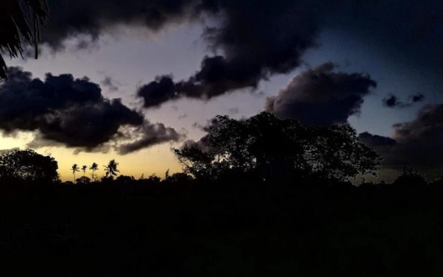Mida Creek Nature Camp