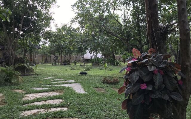 Balili Farm at Nacpan El Nido