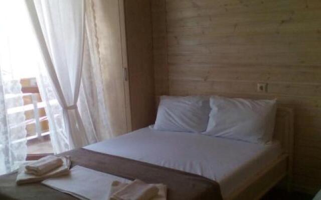 Guest House Diogrina