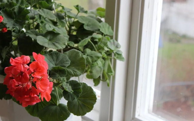 Stf Bralanda Vandrarhem