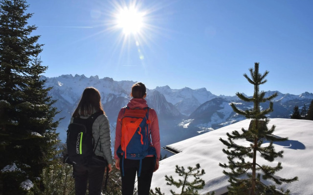Ferienwohnung Alpblick