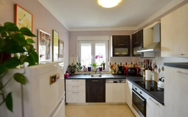 Home With Swimming Pool & Outdoor Kitchen