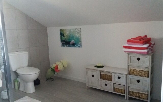 Les Oiseaux de Passage