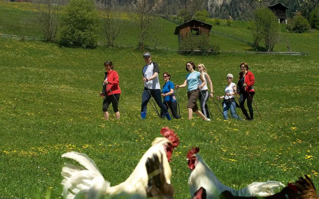 Ferienhaus Posthüttl