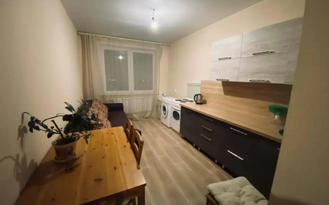 Apartments on Petra Podzolkova street 28