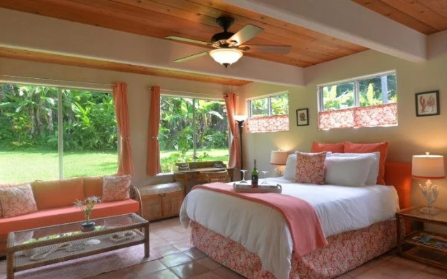 Areca Palms Estate Bed and Breakfast