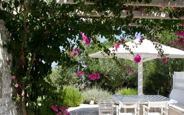 Villa Joy in Ampelas Paros