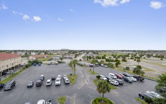 Panorama Palms