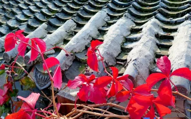 Yunshui Huaxi Homestay