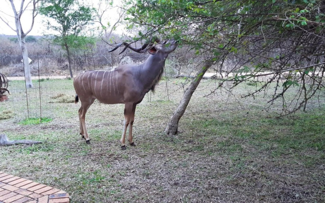 Kruger Riverside Lodge