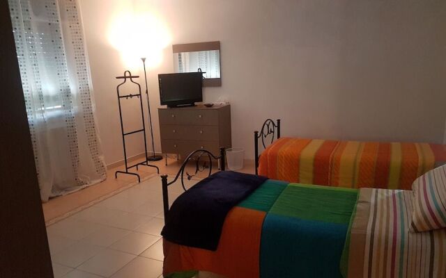 B&B Camelie