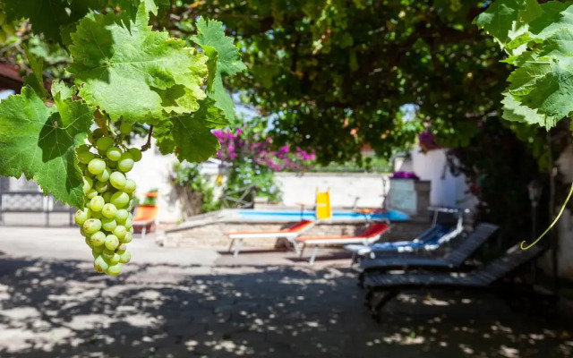 Villa Erika with private garden