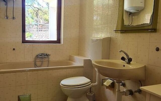 Apartment Mladina