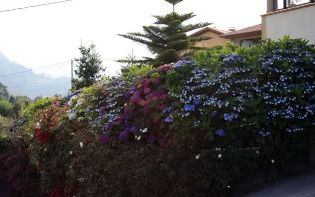 Hotel Foronda