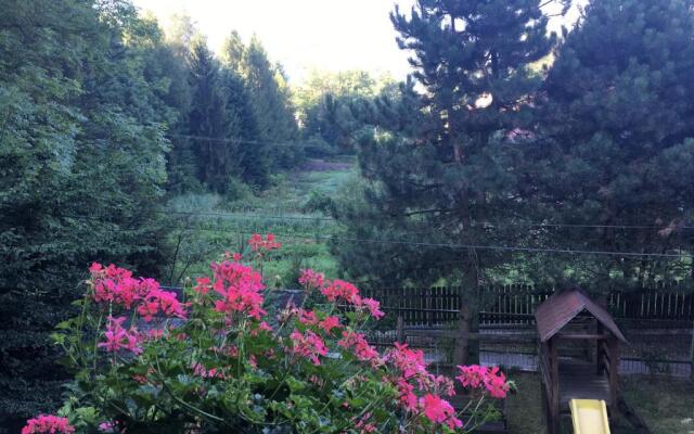 Willa Karolinka Stróża