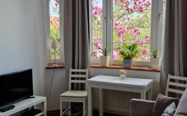 Apartament Magnolia