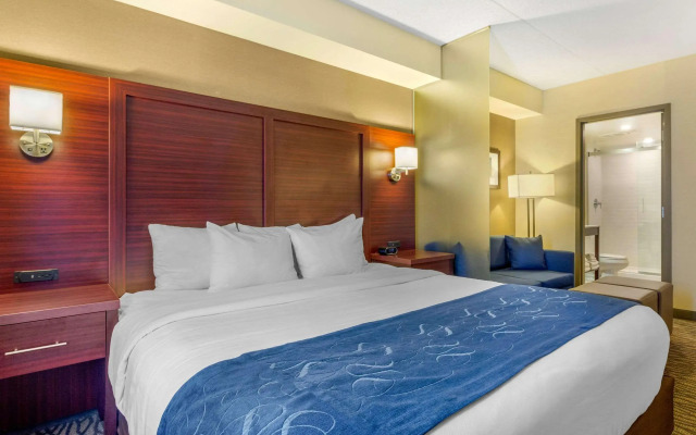 Comfort Suites Downtown Windsor