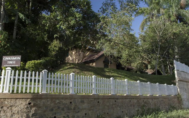 Cinnamon Tree, Kandy