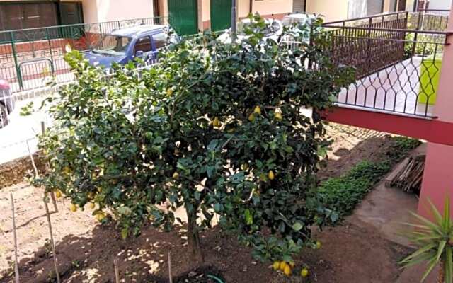 Nilu' e Sagio'