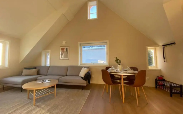 Unique and Spacious Apt close to City Centre