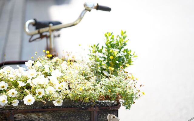 Weingut Martin Blass