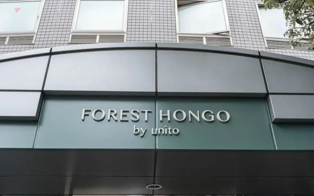 Forest Hongo By Unito