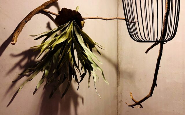 Yian Branch2 Backpacker lnn