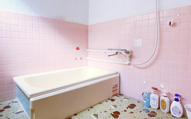 海豚自由 イルカフリー Free dolphin