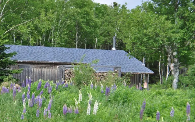 The Dancing Moose Cafe