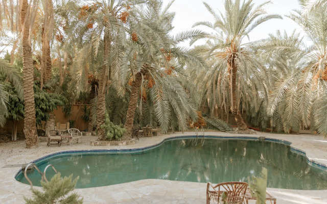 siwa safari paradise hotel