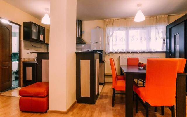 Spacious Apartment near Peles