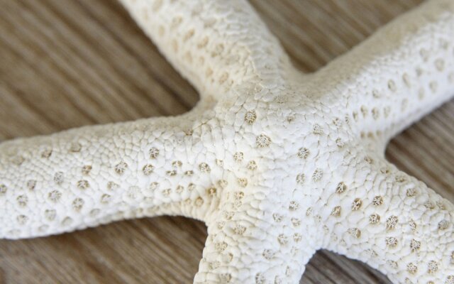 La Lisière du Bétey