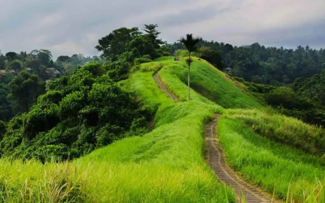 Puri Bisma Ubud