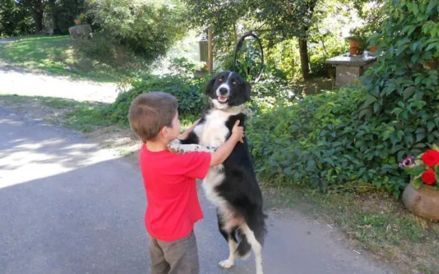 Les Gîtes de Costes-Auriès