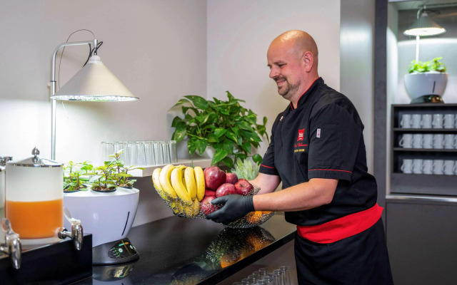 ibis Plzen