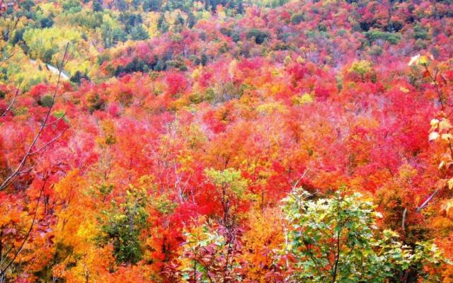 La Grange Country Inn