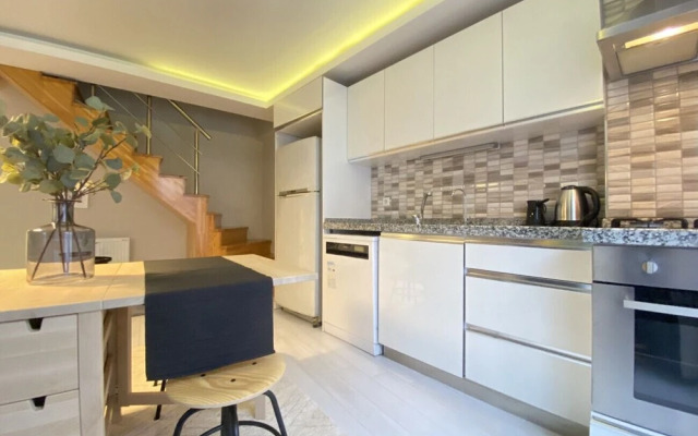 Distinguished Flat 650 m to Galata Tower