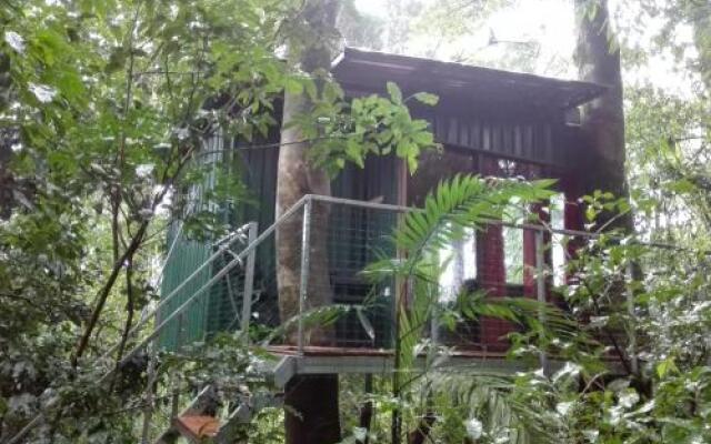 The Green Tree Lodge