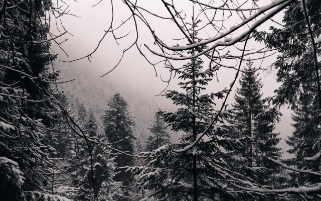 Wanderlust Panorama - Leben im Nationalpark