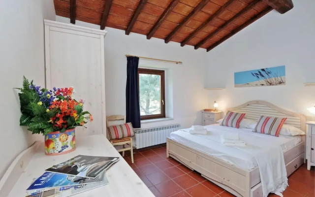Pimpinnacolo 1 - 1BR M2